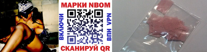 блэк спрут как войти  Приморск  Марки NBOMe 1,8мг  купить закладку 